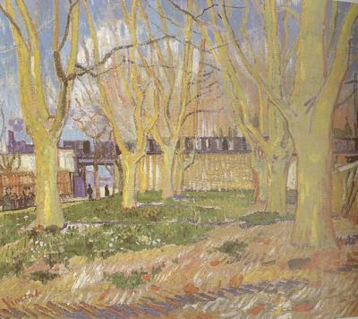 Vincent Van Gogh Avenue of Plane Trees near Arles Station (nn04) Norge oil painting art